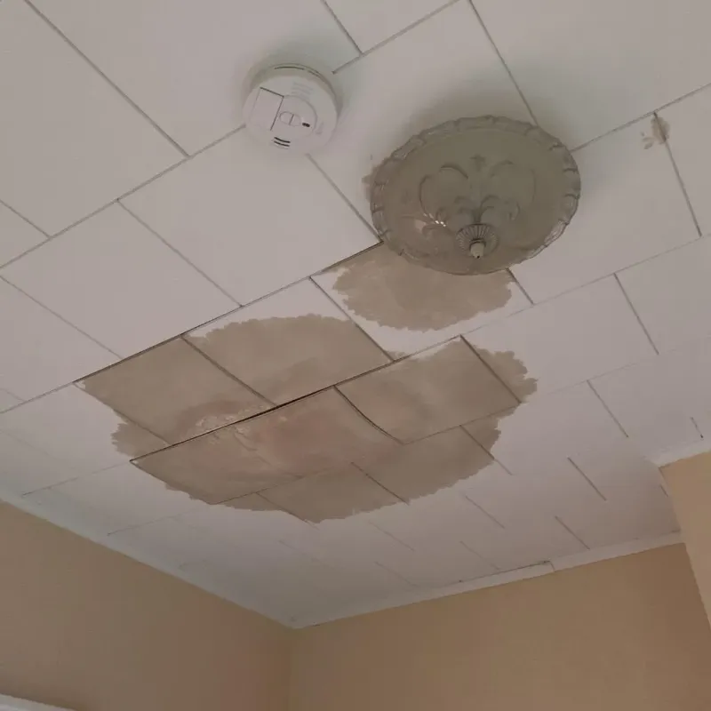 Ceiling Water Damage Repair in Rehoboth, MA