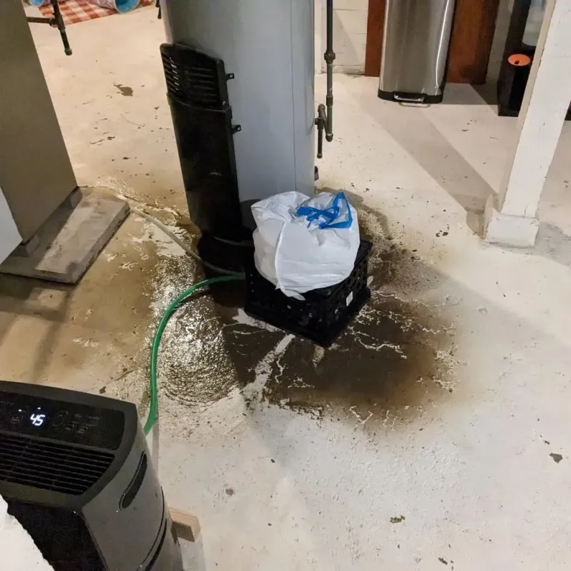Sewage Backup Cleanup Service in Rehoboth, MA